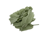 Add - on Shoelaces (Ribbon Laces) - KIBO