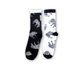 Zebra socks - KIBO