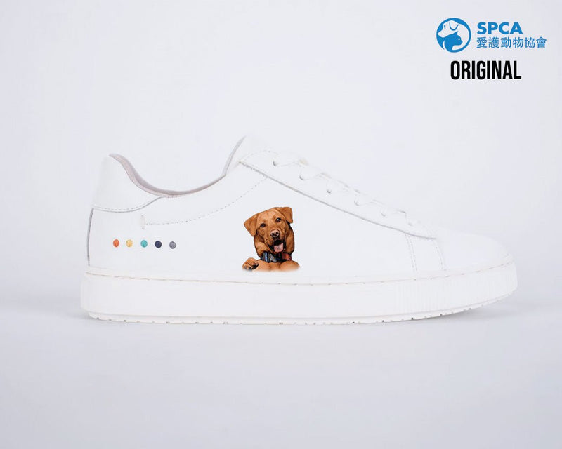 KIBO x SPCA Custom Kicks - KIBO